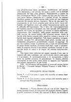 giornale/TO00185234/1923/unico/00000430