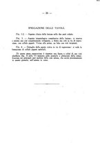 giornale/TO00185234/1924/unico/00000031