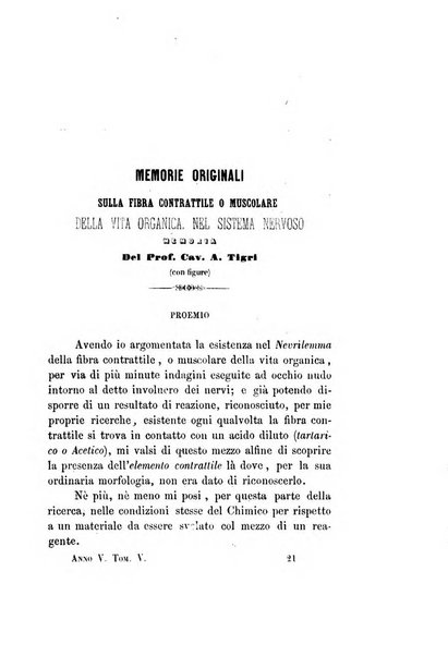 Giornale medico di Roma