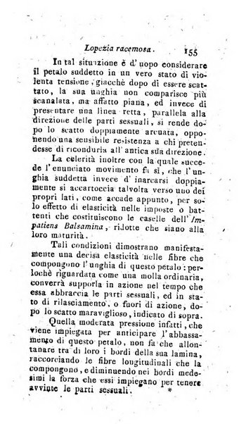 Giornale pisano dei letterati