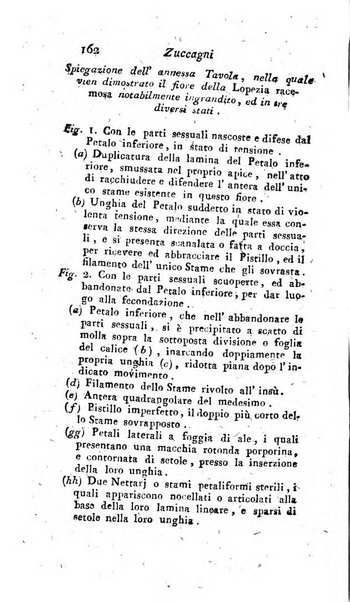 Giornale pisano dei letterati