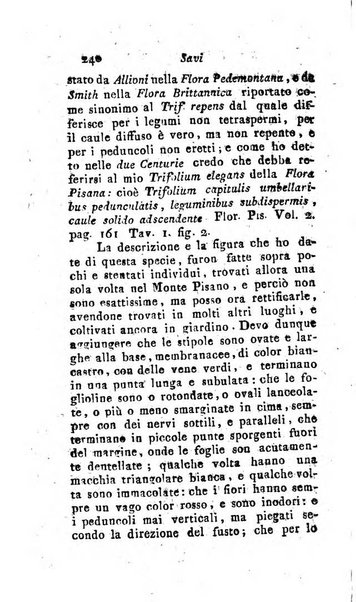 Giornale pisano dei letterati