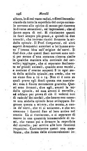 Giornale pisano dei letterati