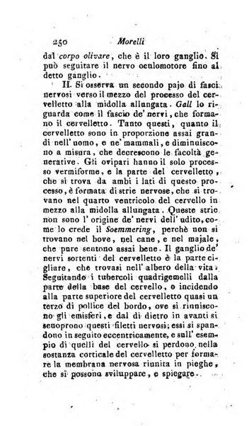 Giornale pisano dei letterati