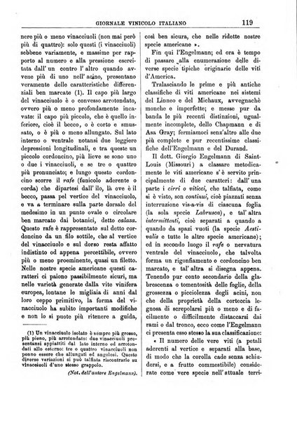 Giornale vinicolo italiano