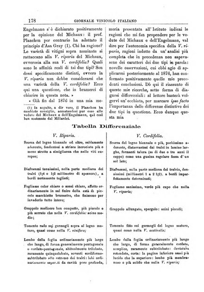 Giornale vinicolo italiano