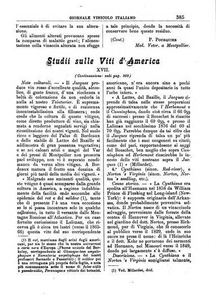 Giornale vinicolo italiano