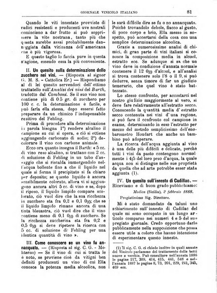 Giornale vinicolo italiano