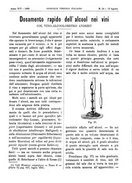 Giornale vinicolo italiano