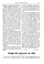 giornale/TO00185283/1894/unico/00000077