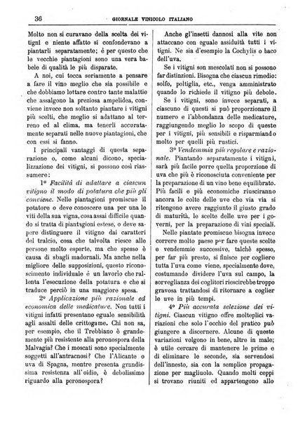 Giornale vinicolo italiano