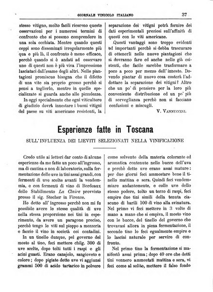 Giornale vinicolo italiano