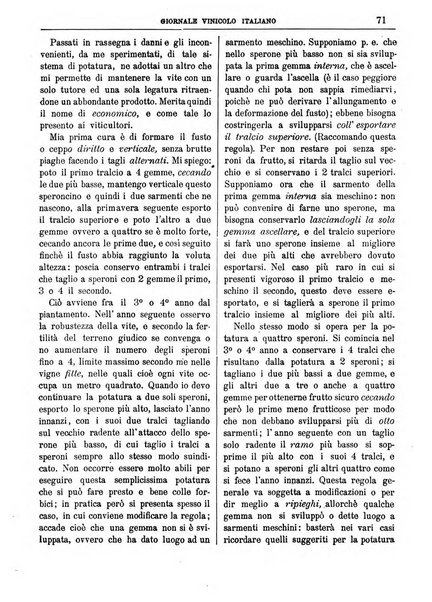 Giornale vinicolo italiano