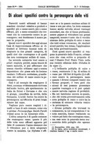 giornale/TO00185283/1894/unico/00000203