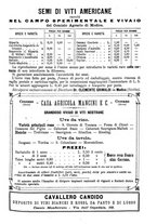 giornale/TO00185283/1894/unico/00000233