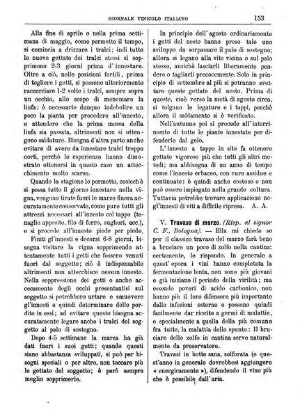 Giornale vinicolo italiano