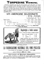 giornale/TO00185283/1894/unico/00000390