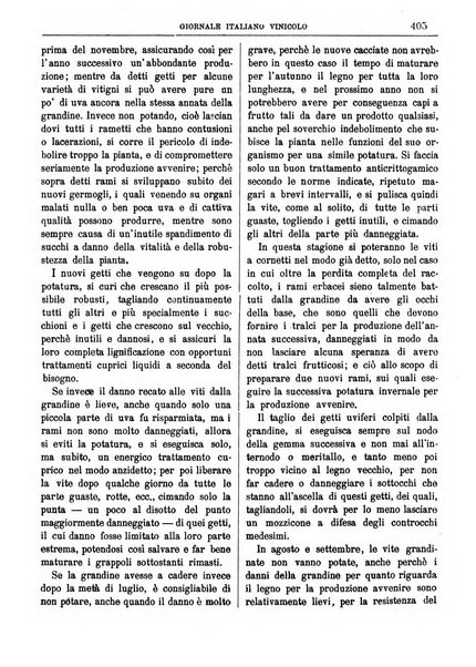 Giornale vinicolo italiano