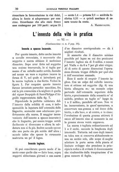 Giornale vinicolo italiano