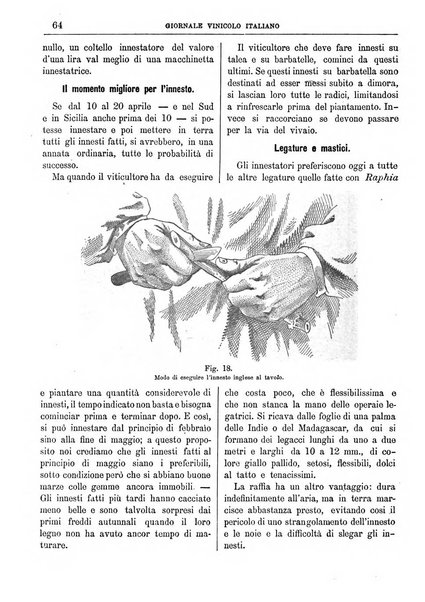 Giornale vinicolo italiano