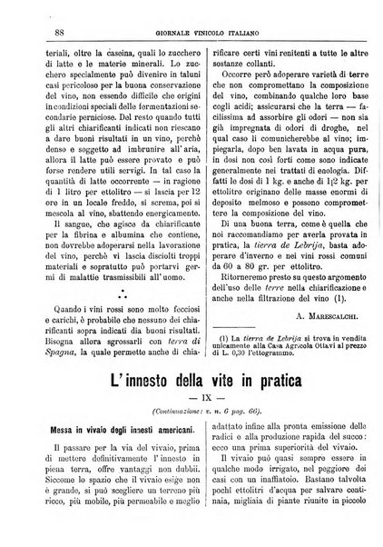 Giornale vinicolo italiano