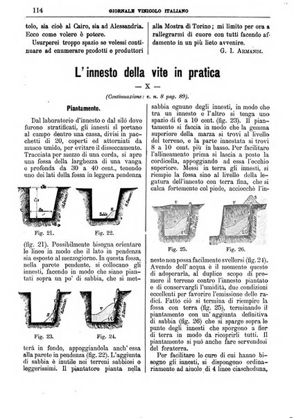 Giornale vinicolo italiano