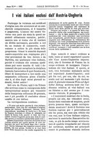 giornale/TO00185283/1895/unico/00000239
