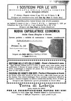 giornale/TO00185283/1895/unico/00000284