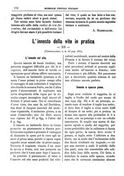 Giornale vinicolo italiano