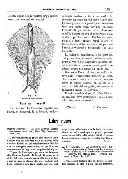 Giornale vinicolo italiano