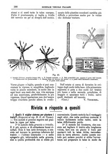 Giornale vinicolo italiano