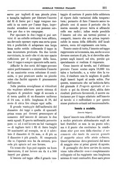 Giornale vinicolo italiano