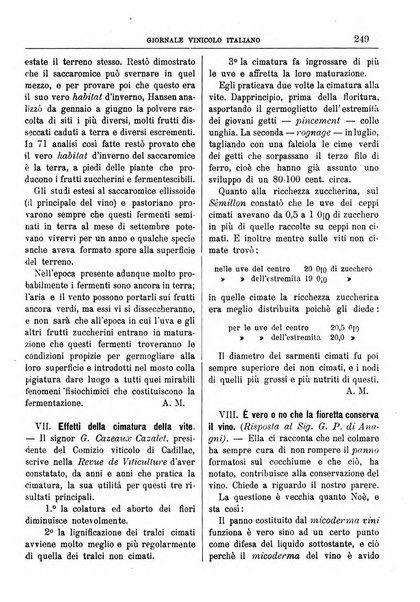 Giornale vinicolo italiano