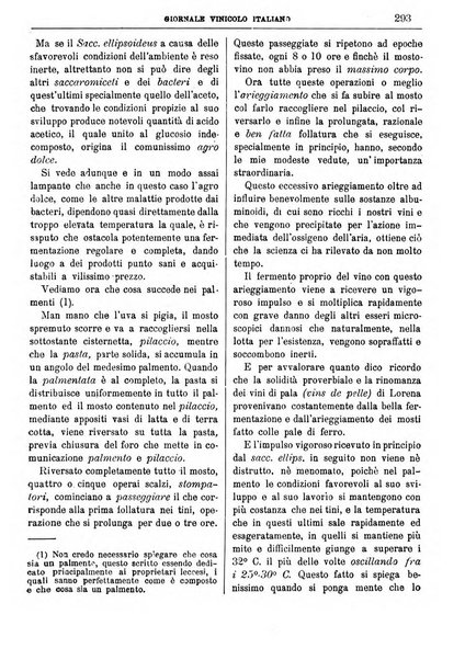 Giornale vinicolo italiano