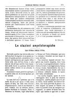 giornale/TO00185283/1895/unico/00000721