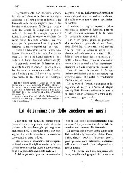 Giornale vinicolo italiano