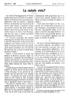 giornale/TO00185283/1895/unico/00000959