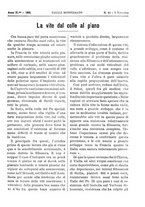 giornale/TO00185283/1895/unico/00001007