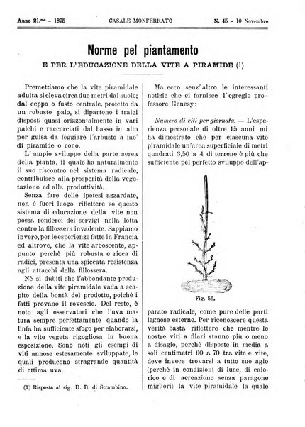 Giornale vinicolo italiano