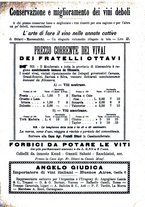 giornale/TO00185283/1896/unico/00000193