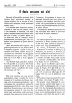 giornale/TO00185283/1896/unico/00000251