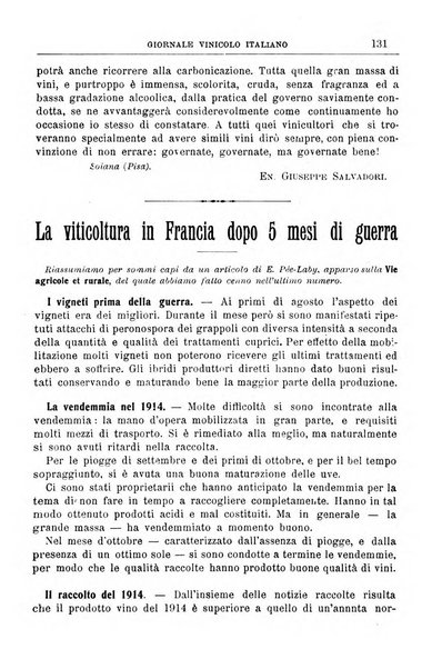 Giornale vinicolo italiano