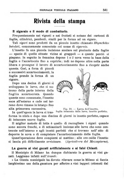 Giornale vinicolo italiano