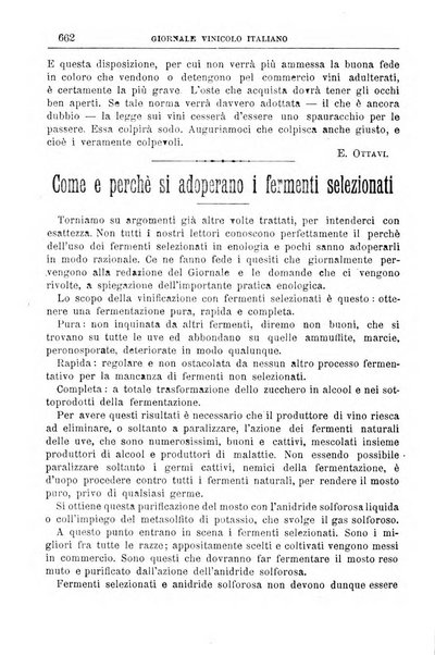 Giornale vinicolo italiano