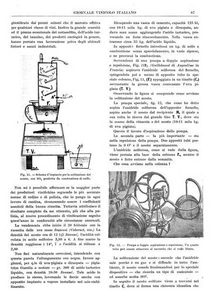 Giornale vinicolo italiano