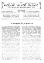giornale/TO00185283/1917/unico/00000207