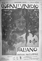 giornale/TO00185283/1917/unico/00000265