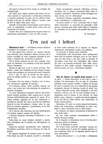 Giornale vinicolo italiano