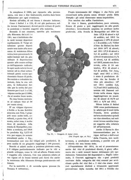 Giornale vinicolo italiano