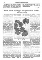 giornale/TO00185283/1917/unico/00000866